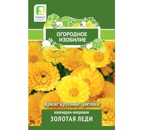 Календула махровая Агрохолдинг ПОИСК Золотая леди 1гр ОИ 816959