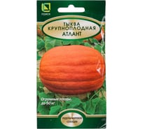 Тыква крупноплодная Агрохолдинг ПОИСК Атлант 5шт 691252