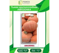 Тыква крупноплодная Агрохолдинг ПОИСК Амазонка 10шт ЧБ 673900