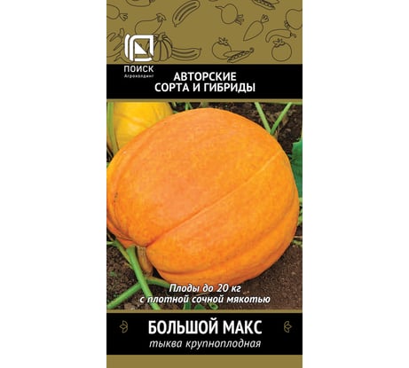 Тыква крупноплодная Агрохолдинг ПОИСК Большой Макс (А) 10шт 669947