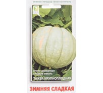 Тыква крупноплодная Агрохолдинг ПОИСК Зимняя сладкая 10шт 695894