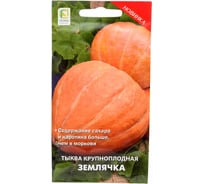 Тыква крупноплодная Землячка (А) 10шт Агрохолдинг ПОИСК 730887