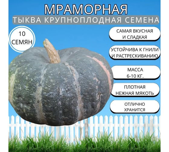 Тыква крупноплодная Агрохолдинг ПОИСК Мраморная 10шт 704970