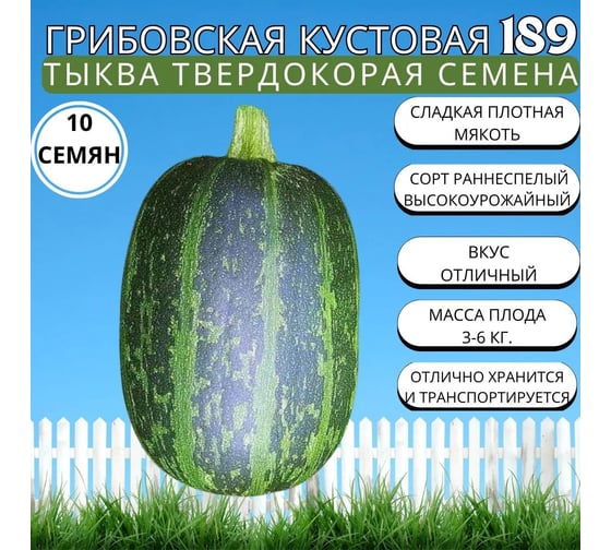 Тыква твердокорая Агрохолдинг ПОИСК Грибовская кустовая 189 10шт 687988 1