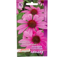 Эхинацея пурпурная Агрохолдинг ПОИСК Ливадия (А) 20шт 600078