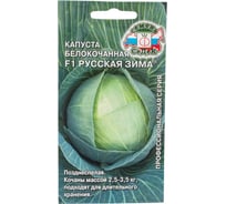 Капуста СеДек Русская Зима F1 (Б/К) (позднеспелый, округлоплоский, 2,5-3,5 кг) Евро 0,1 15306