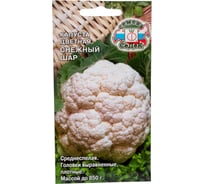 Капуста СеДек Снежный Шар (ЦВ) (среднеспелый, округлый, 0,7-0,85 кг) Евро 0,5 14240