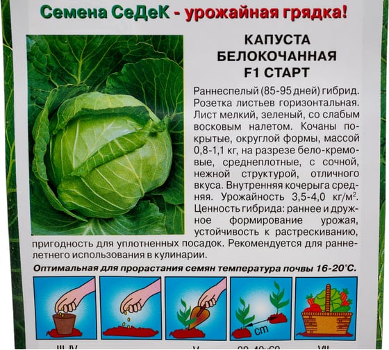 Капуста СеДек Старт F1 (Б/К) (раннеспелый, округлый, 0,8-1,1 кг) Евро 0,05 I0000002355