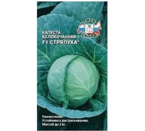 Капуста СеДек Стряпуха F1 (Б/К) (раннеспелый, округлый, 1,5-2 кг) Евро 0,3 15799