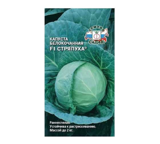 Капуста СеДек Стряпуха F1 (Б/К) (раннеспелый, округлый, 1,5-2 кг) Евро 0,3 15799