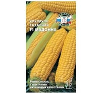 Кукуруза СеДек Мадонна F1 сахарная (раннеспелый, початок коничекий, 18-20 см, желтый, 200-250 г) Евро 4 15166
