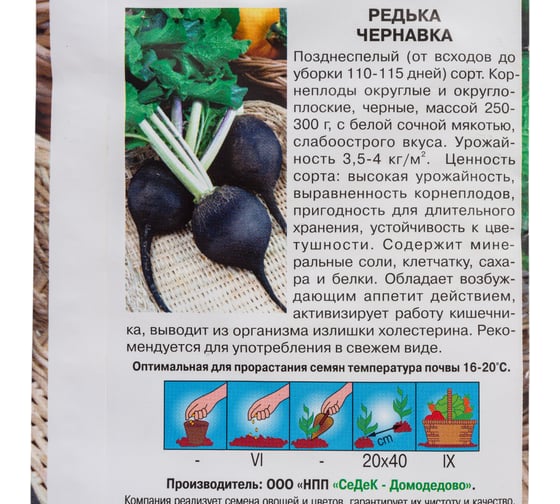 Редька СеДек Чернавка (позднеспелый, округло-плоская, черный/белый, слабоострая, 250-300 г) Евро 1 I0000002361