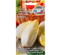 Салат СеДек Конус Витлуф (цикорный) (среднеранний, крупный, белый, горьковатый вкус,15-20 см) Евро 0,5 15929