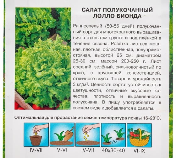 Салат СеДек Лолло Бионда полукочанный (раннеспелый, ОГ/ПУ, плотный, зеленый, 200-250 г) Евро 1 13850