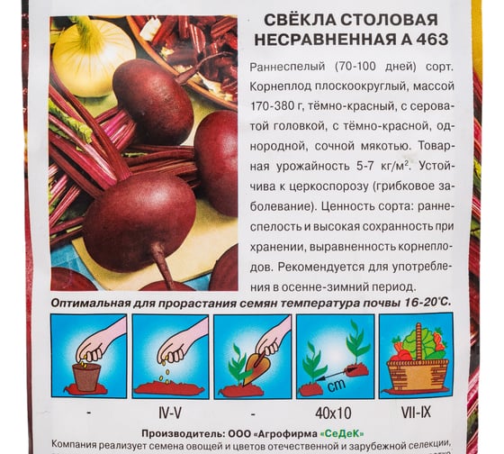 Свёкла СеДек Несравненная А 463 столовая (раннеспелый, плоский-округлый, т-красный, сочный, 170-380 г) Евро 3 15905