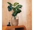 Плетеное кашпо Natural House "Кения" круглое с ручками, Д285 Ш285 В215, натуральный Lishan-09 L 3