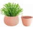 Кашпо Prosperplast SPLOFY BOWL 18 см, со вставкой, персик DKSP180 488 3