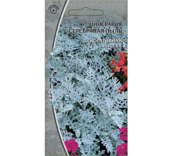 Семена Ваше хозяйство Цинерария Серебряная пыль 0.2 г 4610008774856