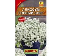 Семена Аэлита Алиссум Горный снег однолетний, 0.1 г 4601729122149