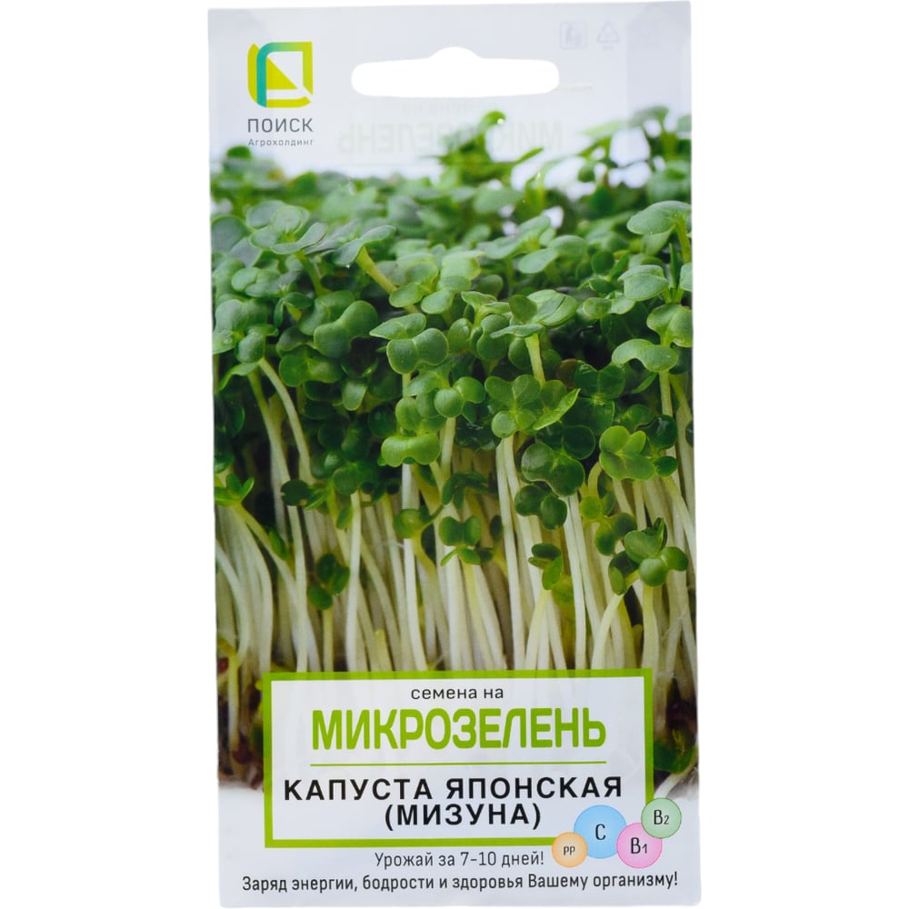 Внешний облик растения