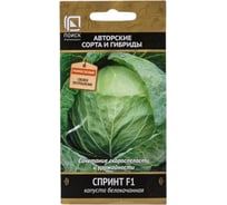 Семена Агрохолдинг ПОИСК ПОИСК Капуста белокочанная Спринт F1 0,2г в пакете 725043