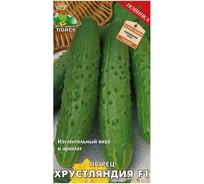 Семена Поиск Огурец Хрустляндия F1 12 шт. 720815