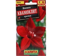 Семена Аэлита Ипомея Квамоклит красная, однолетний, 0.5 г 4601729020490