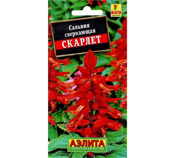 Семена Аэлита Сальвия сверкающая Скарлет однолетний, 0.1 г 4601729071850 00-00570266