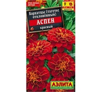 Семена Аэлита Бархатцы Аспен красный однолетний, 0.1 г 4601729034541 00-00572417