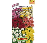 Семена Аэлита Хризантема корейская Бархатная осень,смесь окрасок, 0.02 г 4601729065705