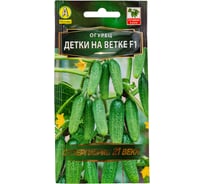 Семена Аэлита Огурец Детки на ветке F1, 10 шт. 4601729140457 00-00593097