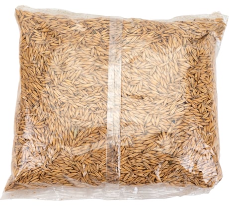 Семена Здоровый Сад Овес сидерат 1 кг 4607160333014