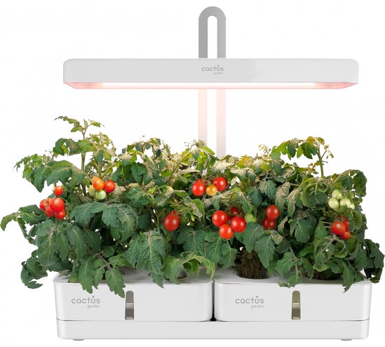 Гидропонная установка Cactus Garden 3.0л 20 белый (CS-LEDPOT-08) 2000786