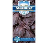 Семена Гавриш Базилик Русский гигант фиолетовый 0.2 г 10008351