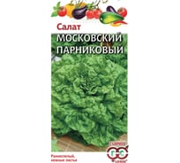 Семена Гавриш Салат Московский парниковый листовой 1 г 10003987