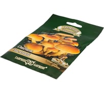 Семена Гавриш Опенок зимний на древесной палочке 12 шт. 4601431040113