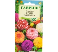 Семена Гавриш Георгина Яркие помпоны 0.2 г 10006617