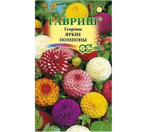 Семена Гавриш Георгина Яркие помпоны 0.2 г 10006617