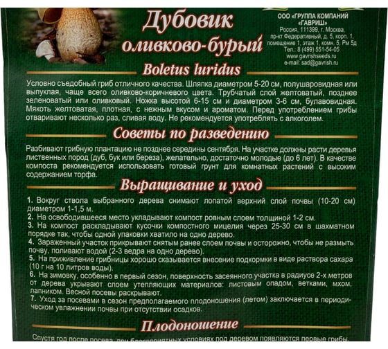Семена Гавриш Дубовик оливковобурый на зерновом субстрате 15 мл 4601431039919