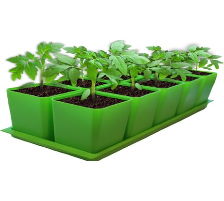 Набор горшков для рассады Пеликан 10 шт. 0330 Зелёный