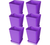 Набор горшков для рассады Пеликан 6 шт. 0335 Фиолетовый