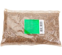 Семена Green Deer пчелиное пастбище северное 0.5 кг 4620766506927