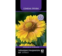 Гайлардия грандифлора Агрохолдинг ПОИСК Хот Эприкот 10шт 840088