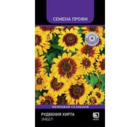 Рудбекия хирта Агрохолдинг ПОИСК Эмбер 7шт 840122