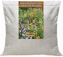 Семена Аэлита Мавританский газон Солнечная лужайка 5 кг 00-00594487