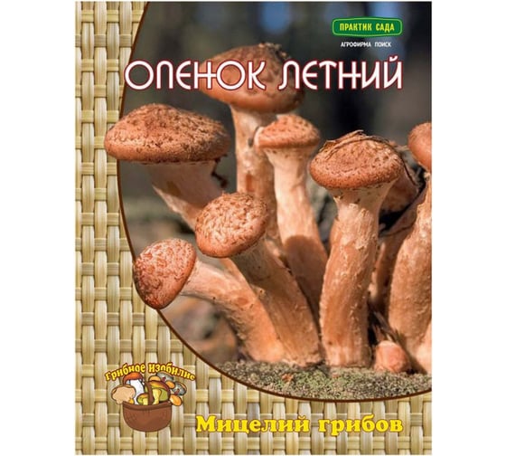 Мицелий на древесном носителе Поиск Опенок летний 12 шт. 4601887286745