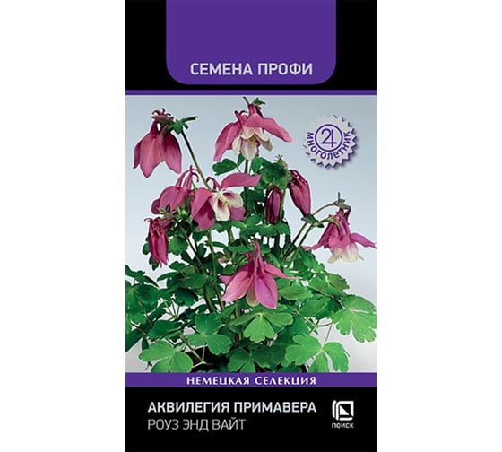 Аквилегия Примавера Роуз энд вайт Агрохолдинг ПОИСК 5шт 840113 1