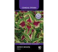Колеус Визард Роуз Агрохолдинг ПОИСК 10шт 839341