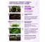 Витамины для петуний Аминосил гранулы 50г 4640259909714 8