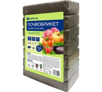 Почвобрикет БиоМастер Универсальный 70 л 00001265629
